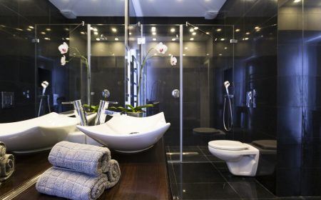 Black bathroom with shower